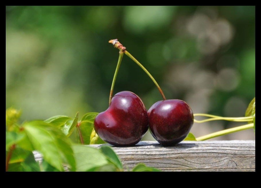 التباينات الإبداعية: تقنيات التأكيد على الاختلافات البصرية في التصوير الفوتوغرافي