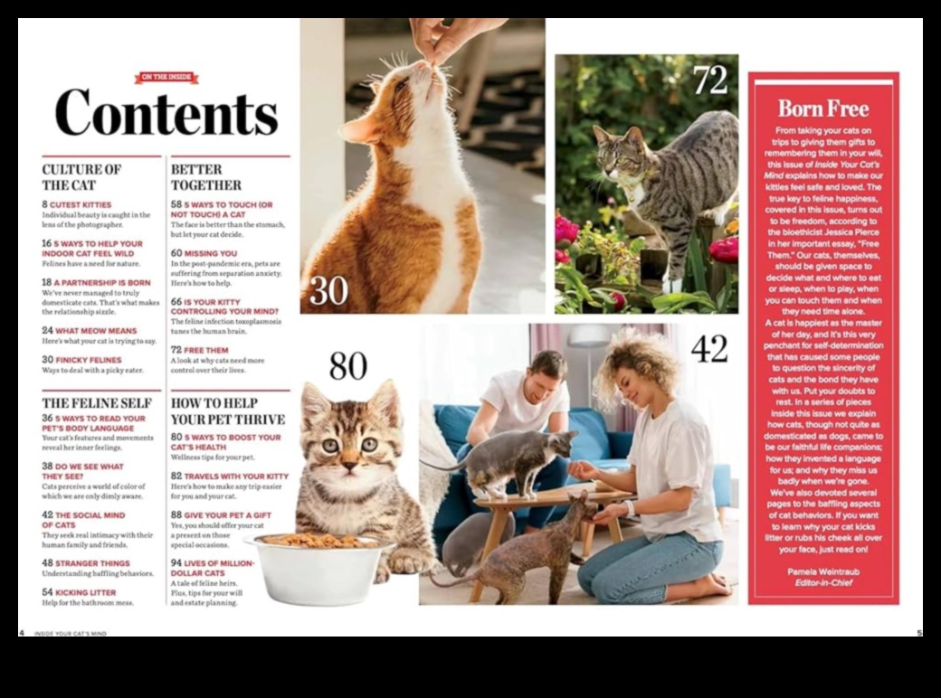 لغة القمامة: فهم سلوك قطتك في الحمام