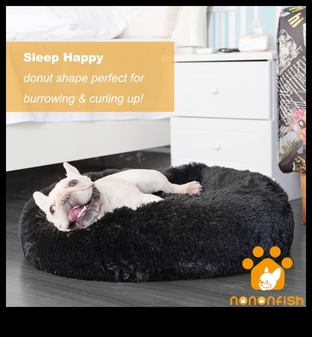 دوجي دريم لاند: خلق مساحة نوم مريحة