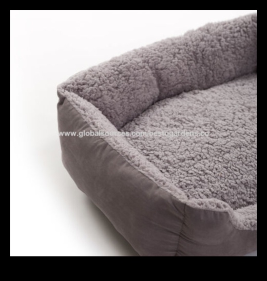 دوجي دريم لاند: خلق مساحة نوم مريحة