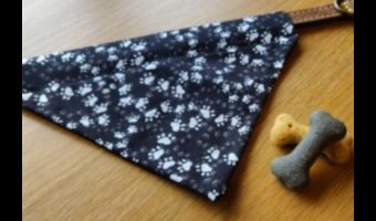 الكفوف الصغيرة: ملحقات صغيرة للأصدقاء الصغار ذوي الفراء