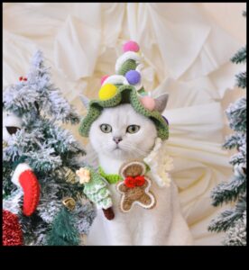 Whisker Wonderland: إنشاء عيد ميلاد صديق للقطط