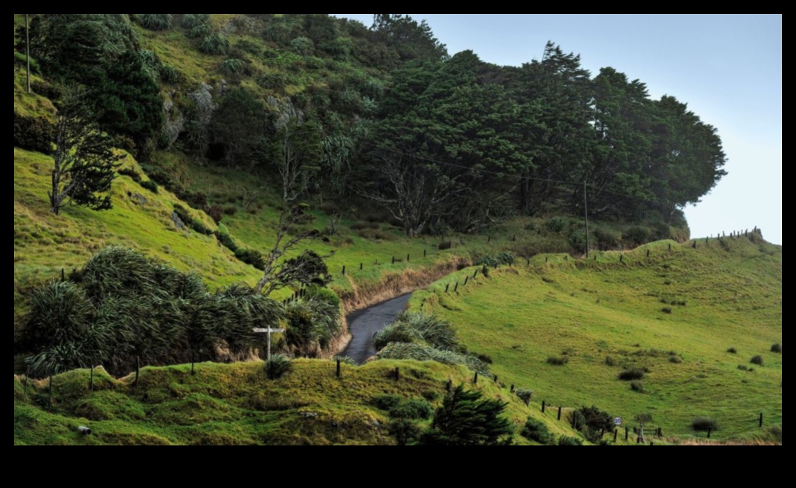الحقائق عن بعد: خارج المسار المطروق في التصوير الفوتوغرافي أثناء السفر