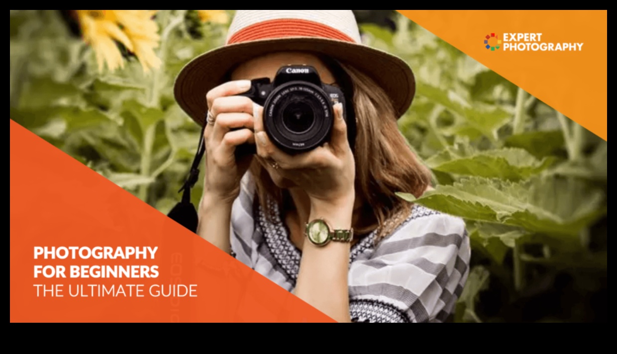 البكسلات والمنظورات: المهارات الأساسية في التصوير الرقمي