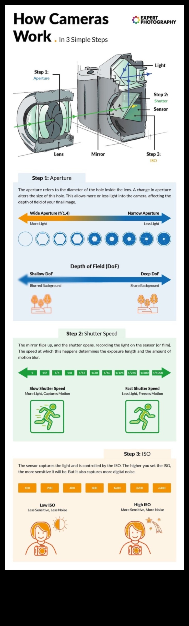 البكسلات والمنظورات: المهارات الأساسية في التصوير الرقمي