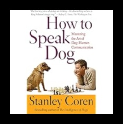 خطاب هزلي: التنقل في فن التواصل مع الكلاب