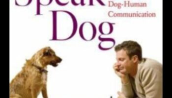 خطاب هزلي: التنقل في فن التواصل مع الكلاب