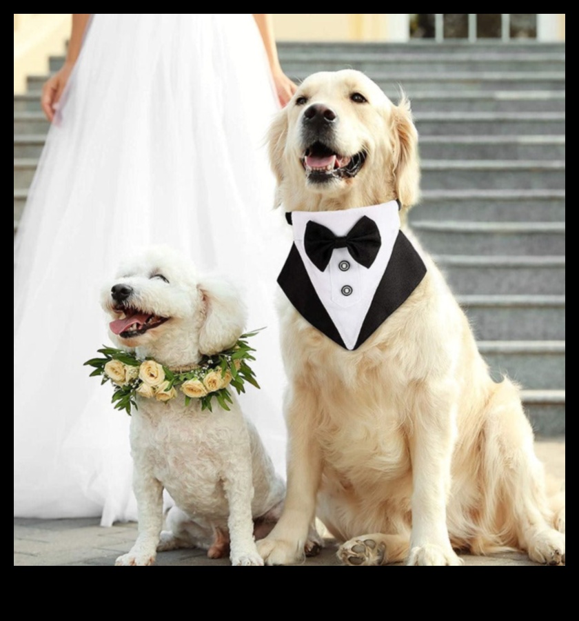 هزلي أنيق: إكسسوارات أنيقة للكلب حسن الملبس