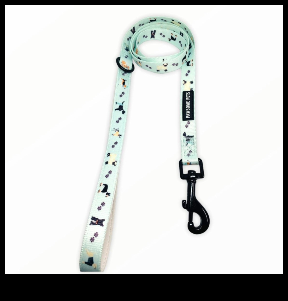 هزلي أنيق: إكسسوارات أنيقة للكلب حسن الملبس