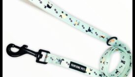 هزلي أنيق: إكسسوارات أنيقة للكلب حسن الملبس