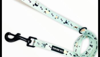 هزلي أنيق: إكسسوارات أنيقة للكلب حسن الملبس