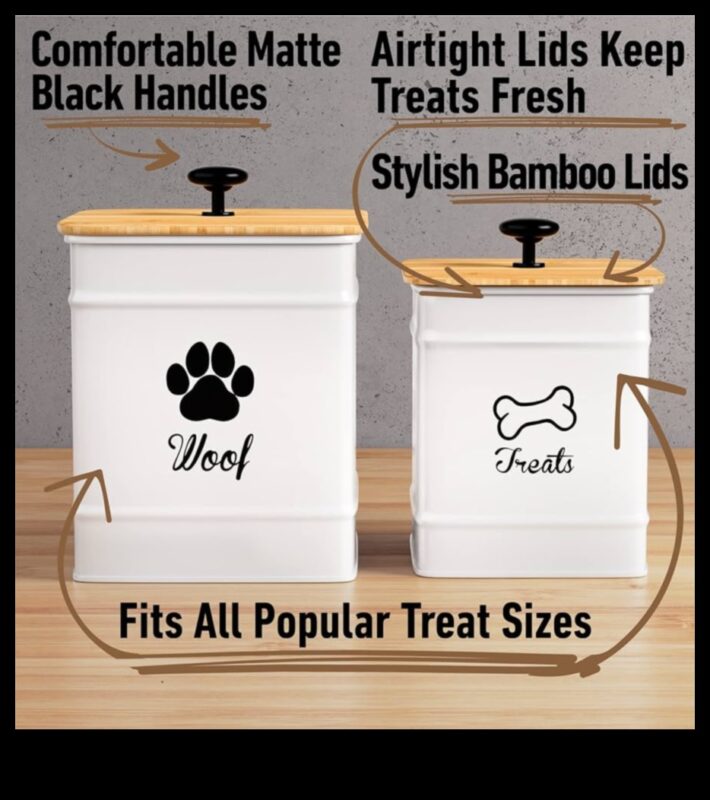 ديكور هزلي فاخر: الحفاظ على مجموعة إكسسوارات جديدة ورائعة